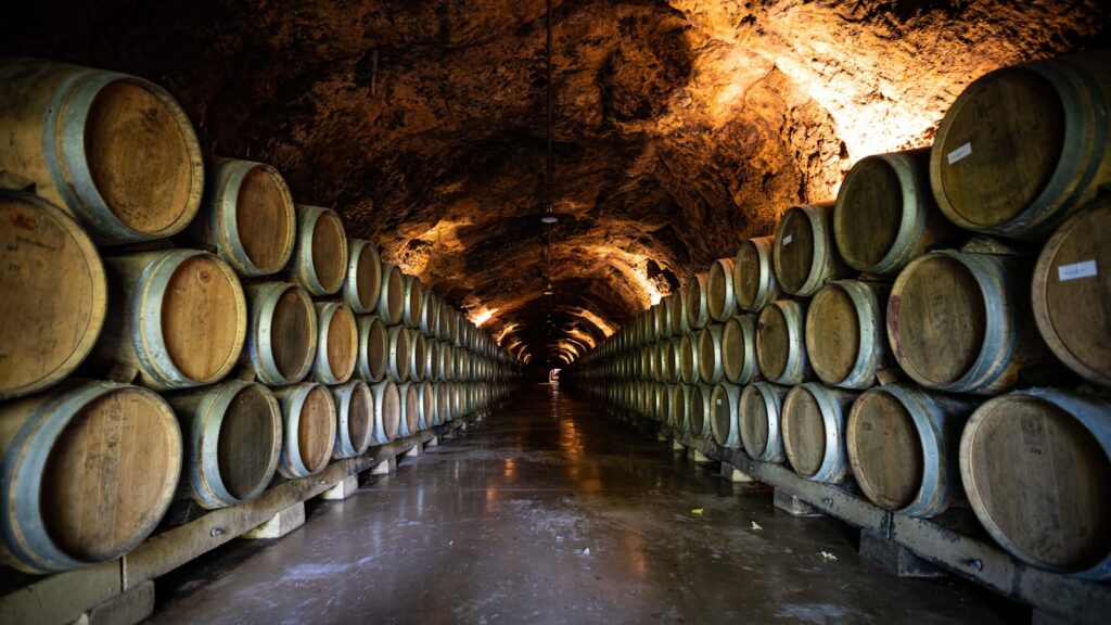 Barricas de cava en bodega del Penedès, Barcelona