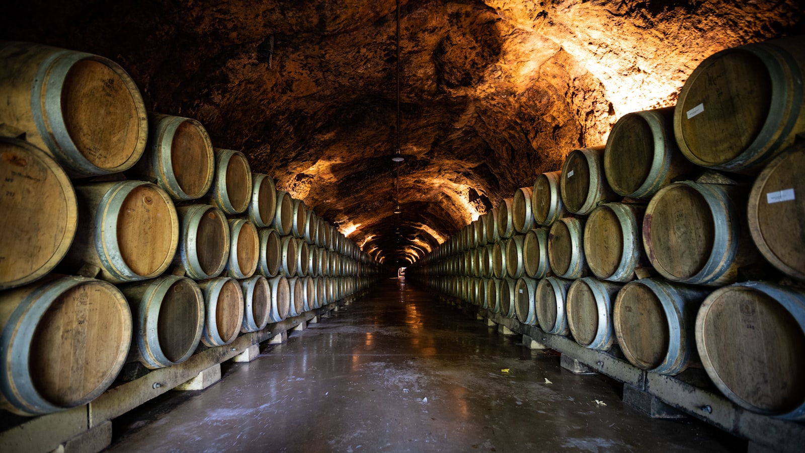 Barricas de cava en bodega del Penedès, Barcelona